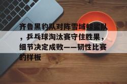 爱游戏中国官网 -关于齐鲁黑豹队对阵雪域鲸鲨队，乒乓球淘汰赛守住胜果，细节决定成败——韧性比赛的样板的信息